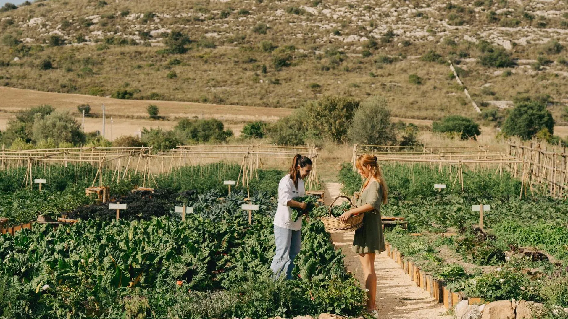 Villa Dimora Delle Balze à Noto 0*,  Italie